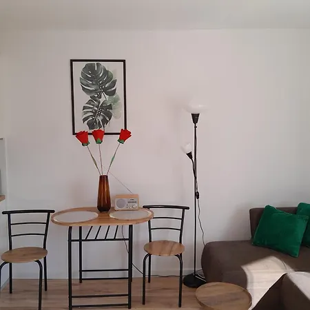 Apartament Kawalerka Z Widokiem Na Zamek *