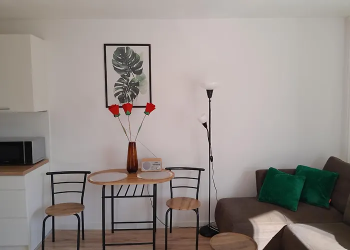 Lejlighed Kawalerka Z Widokiem Na Zamek *